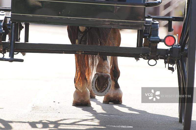 驾驶，车轮，马蹄铁，柏油路图片素材