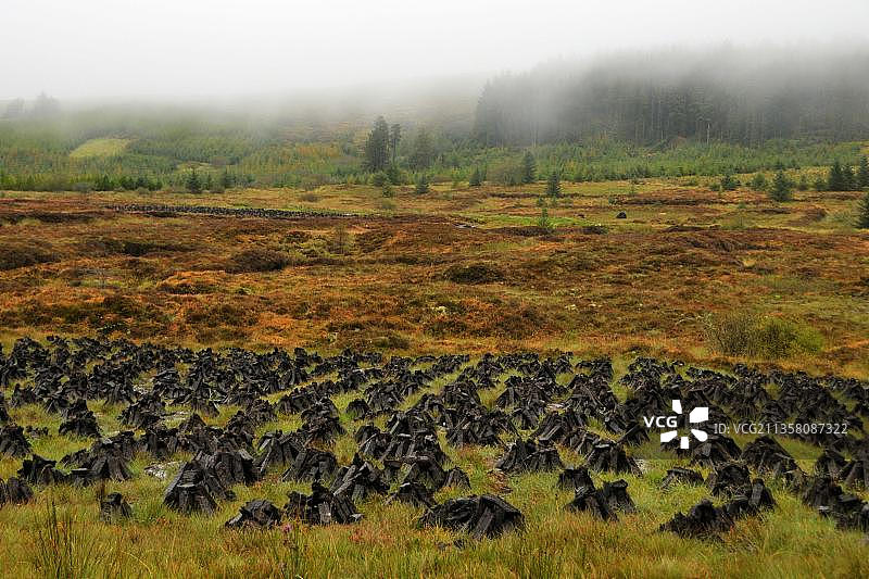 爱尔兰斯莱戈郡泥炭堆图片素材