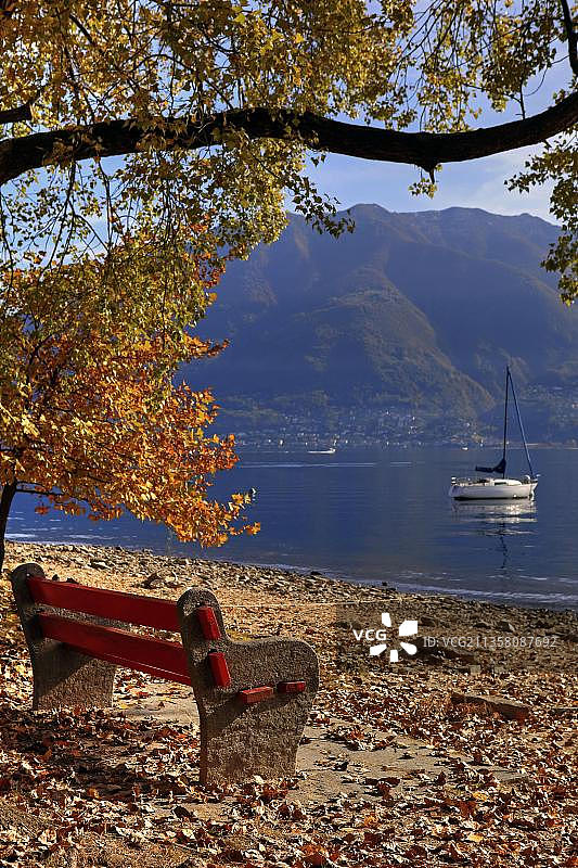 马焦雷湖畔银行，洛迦诺，提契诺，马焦雷湖，瑞士，欧洲图片素材