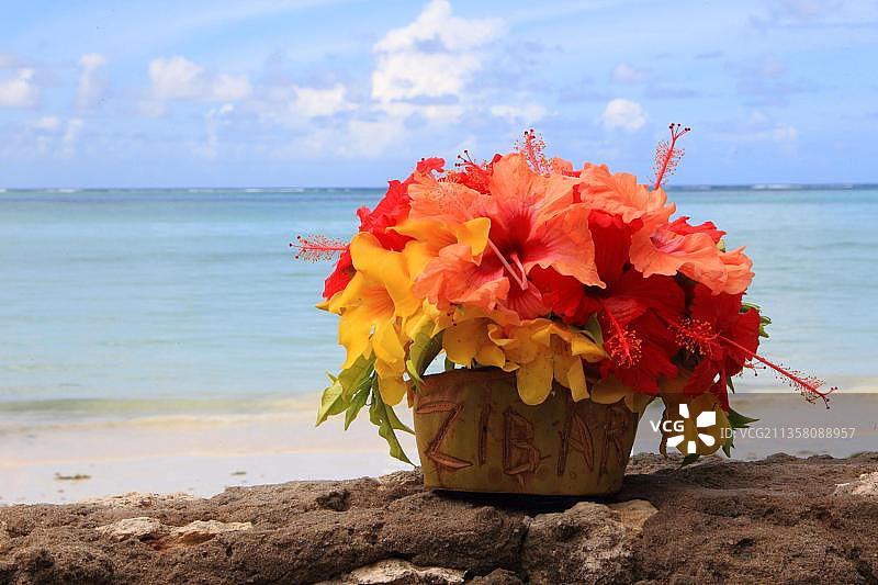 玫瑰棉花糖，印度洋，桑给巴尔，花瓶，坦桑尼亚，非洲图片素材