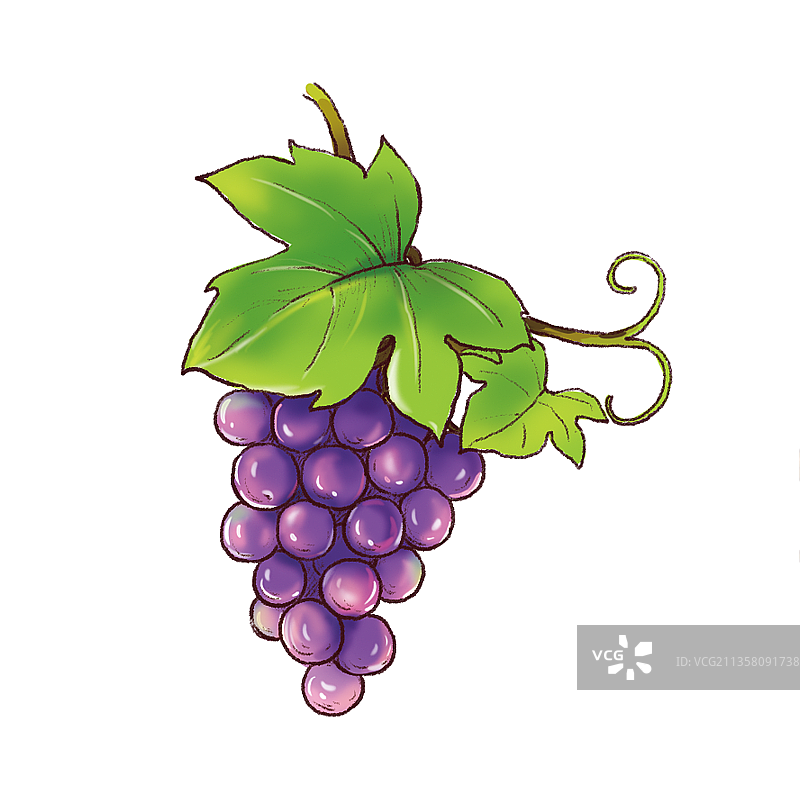 一串葡萄图片素材