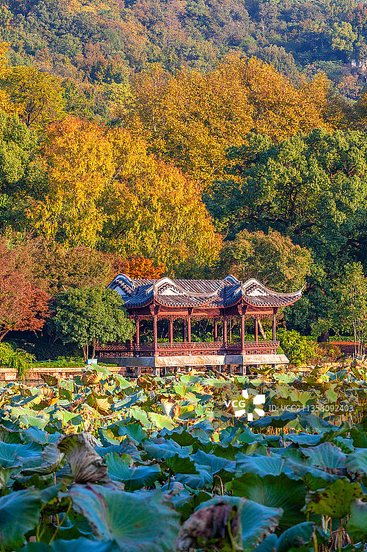 杭州西湖孤山公园图片素材