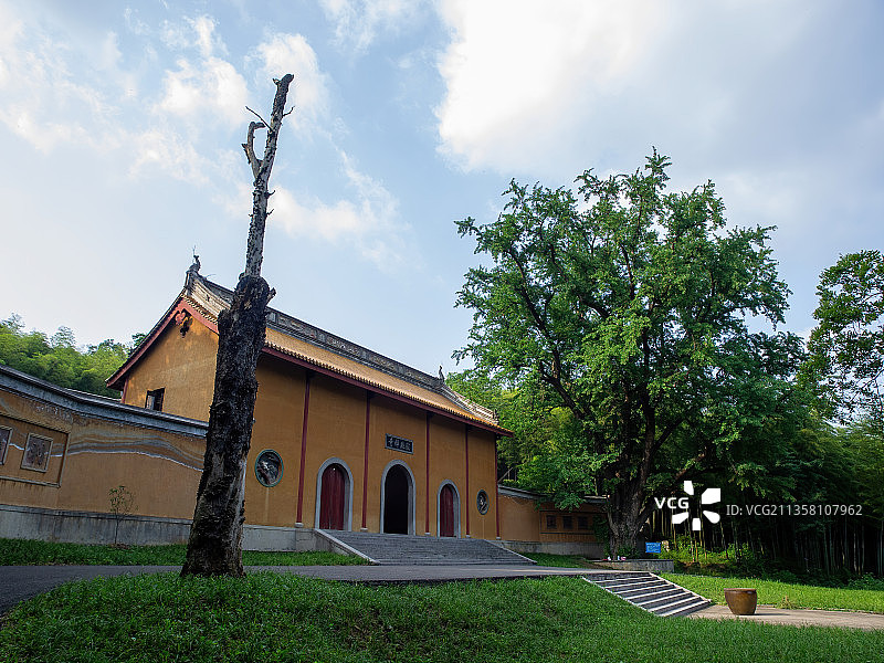 江苏宜兴竹海图片素材