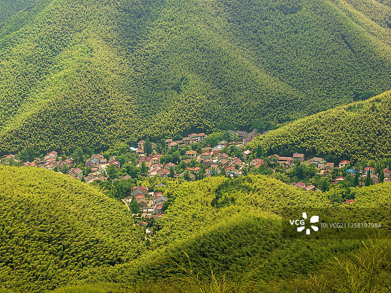 江苏宜兴竹海图片素材