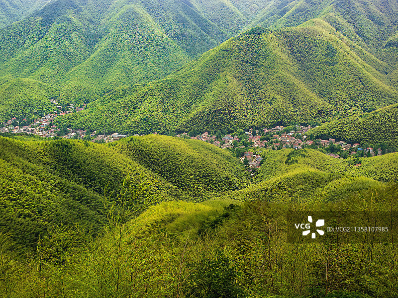 江苏宜兴竹海图片素材