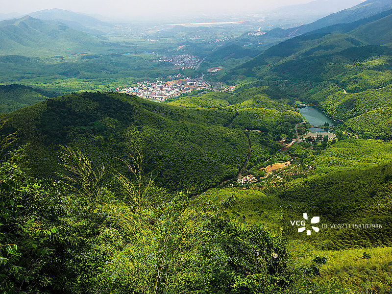 江苏宜兴竹海图片素材