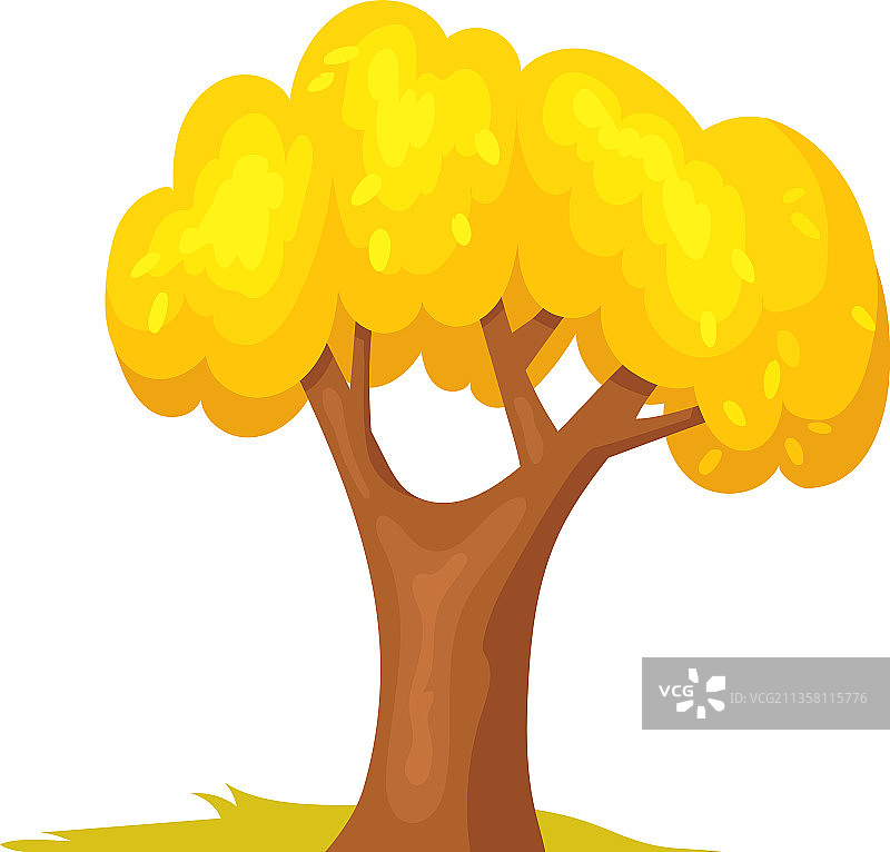 秋季金色风景图片素材