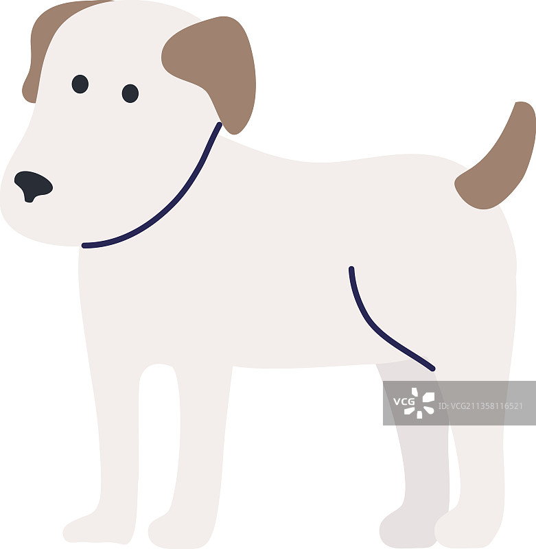 白色可爱小狗图片素材