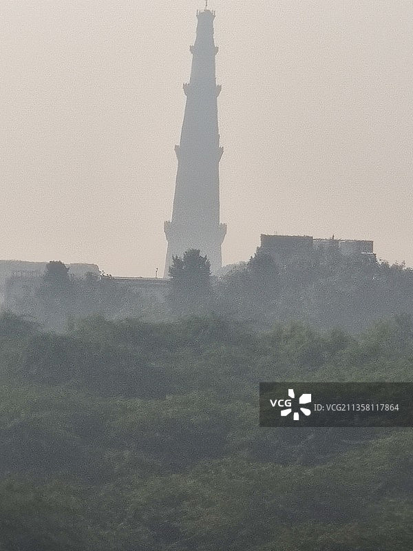 城市之肺：新德里大都市中的城市野生森林图片素材