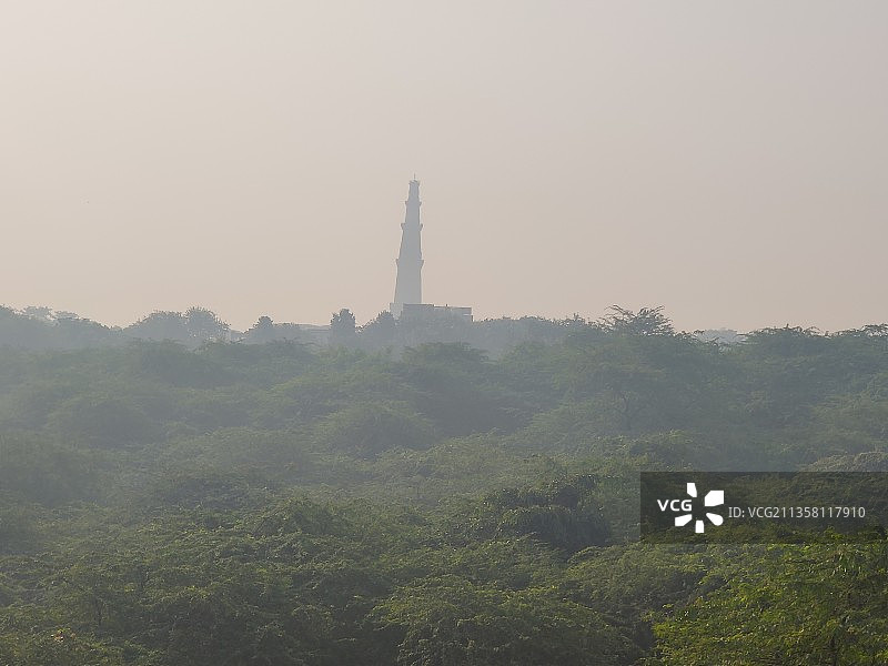 城市之肺：新德里大都市中的城市野生森林图片素材