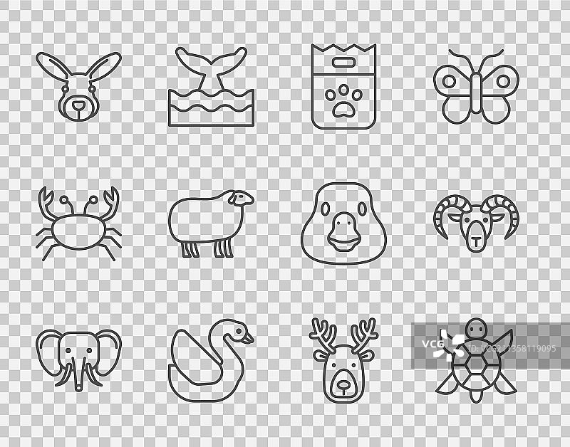 大象、乌龟、食物袋与天鹅图片素材