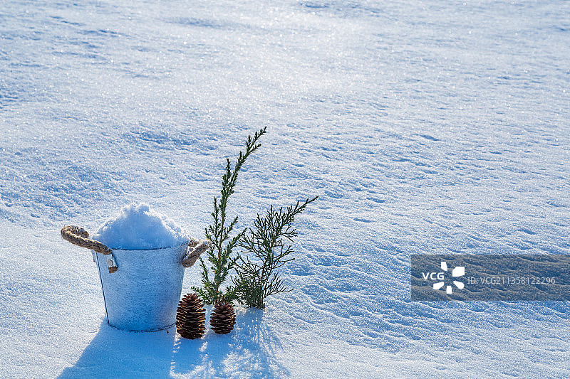 雪地上装满雪的小桶，松枝和松果图片素材