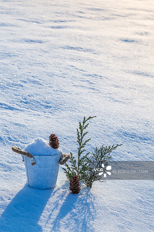 雪地上装满雪的小桶，松枝和松果图片素材