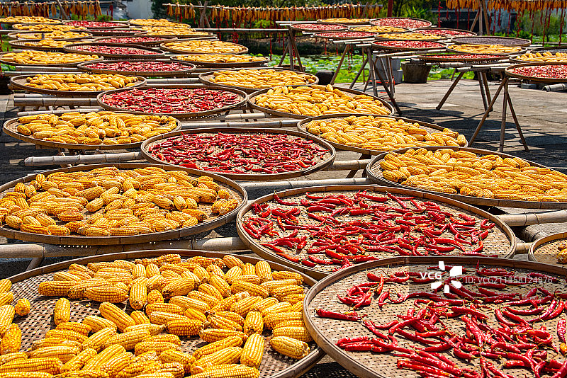 安徽的晒秋图片素材