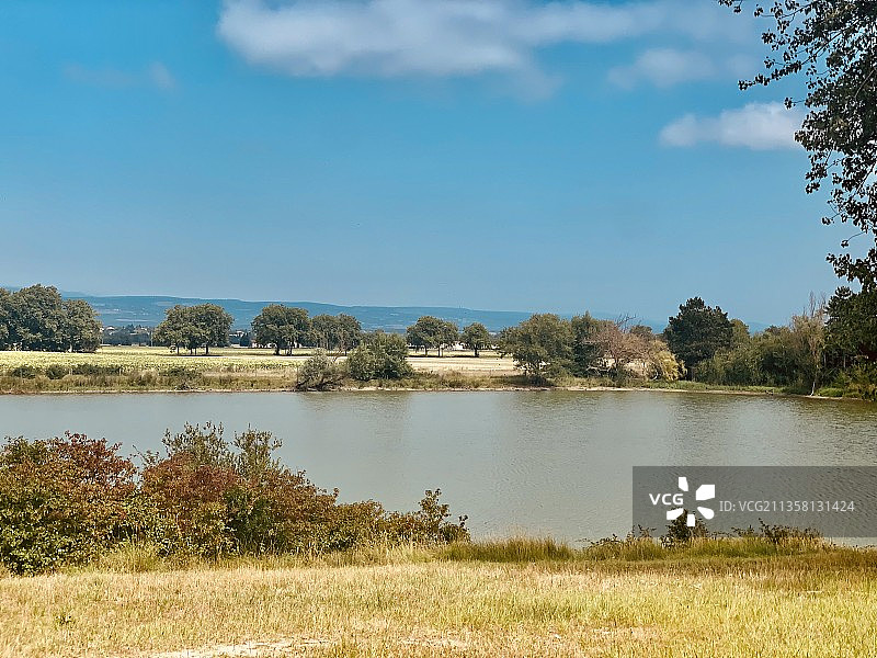 湖边的树顶着天空图片素材