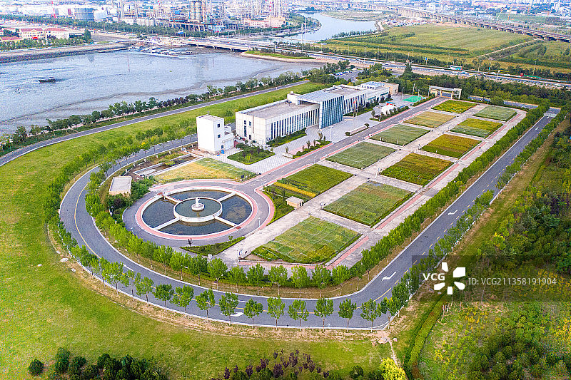 青岛市海水稻研究所图片素材