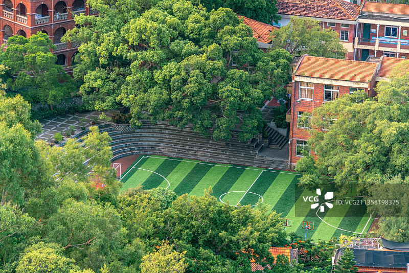 树荫下上体育课的学生+福建省厦门市思明区鼓浪屿图片素材