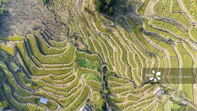 临安指南村梯田图片素材