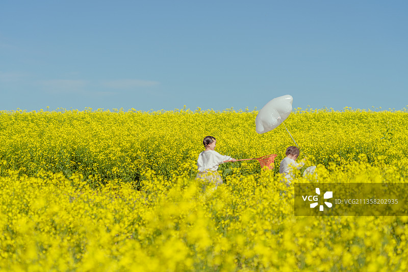 油菜花丛中捕捉蝴蝶的两个小伙伴图片素材