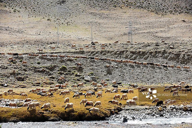 西藏山南，羊卓雍措风景。图片素材