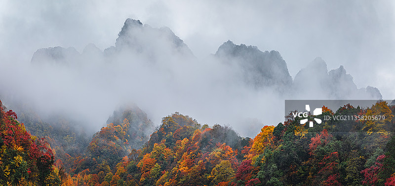 光雾山风景区之米仓山天然画廊图片素材