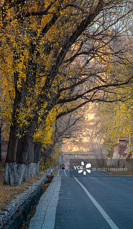 金色的路图片素材