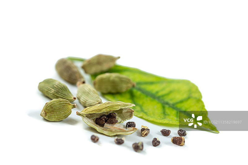 绿色小豆蔻叶子和种子替代医学图片素材