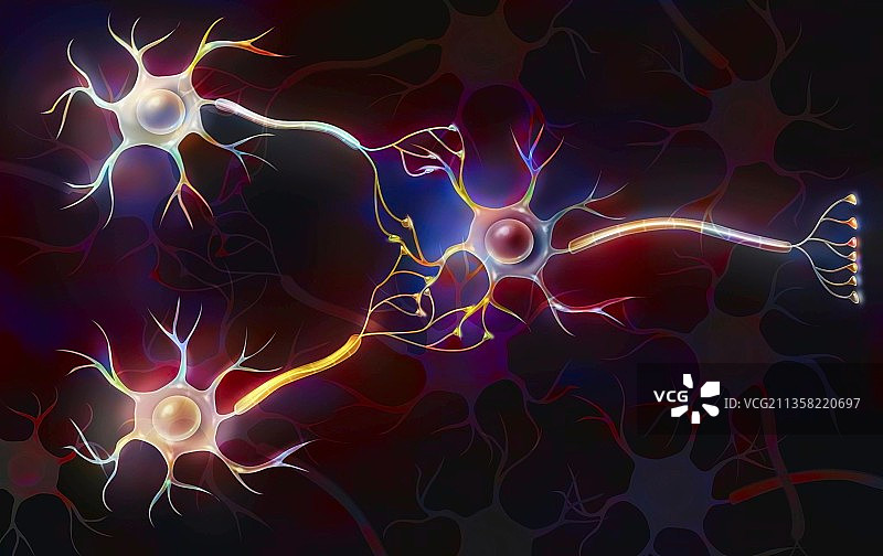 神经元连接，传递神经脉冲图片素材