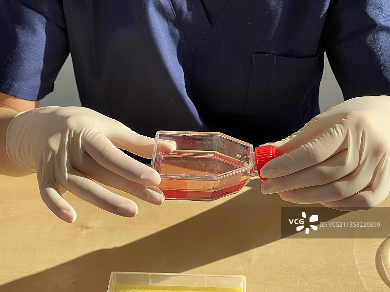 在研究实验室观察细胞培养瓶的女人图片素材