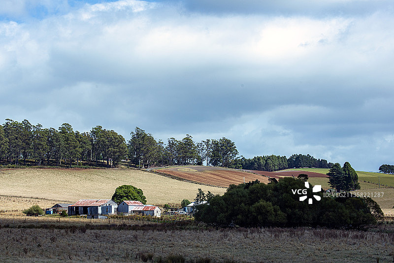 田园｜澳大利亚塔斯马尼亚图片素材