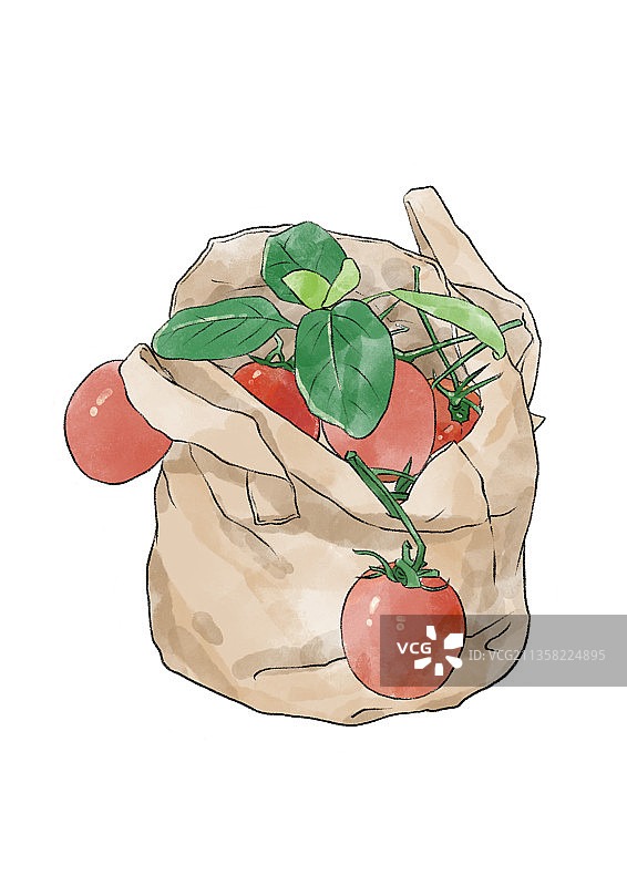 淡彩小番茄图片素材