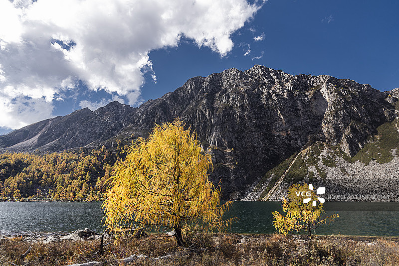 葫芦海的深秋图片素材