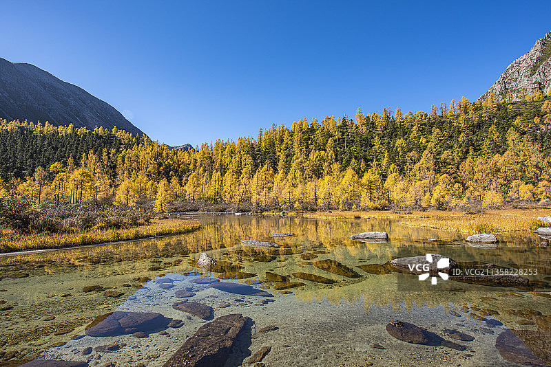 四川省甘孜州丹巴县党岭村葫芦海秋天森林风光图片素材