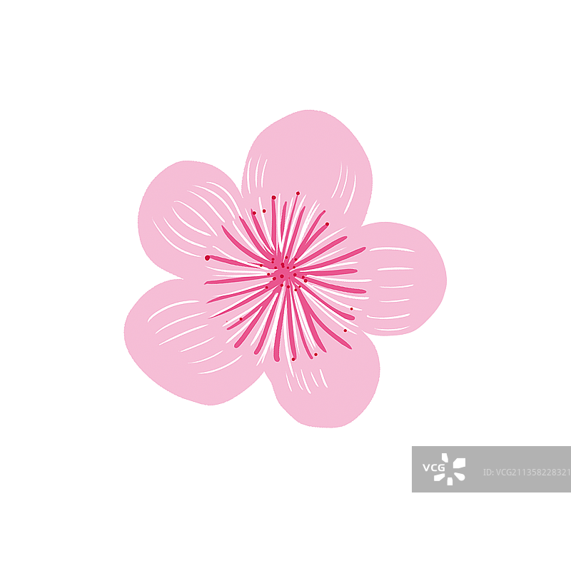 一朵花图片素材