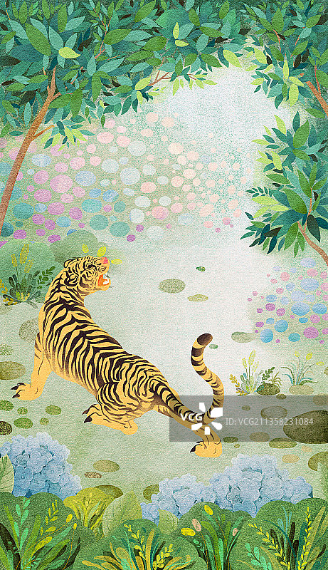 森林之虎图片素材