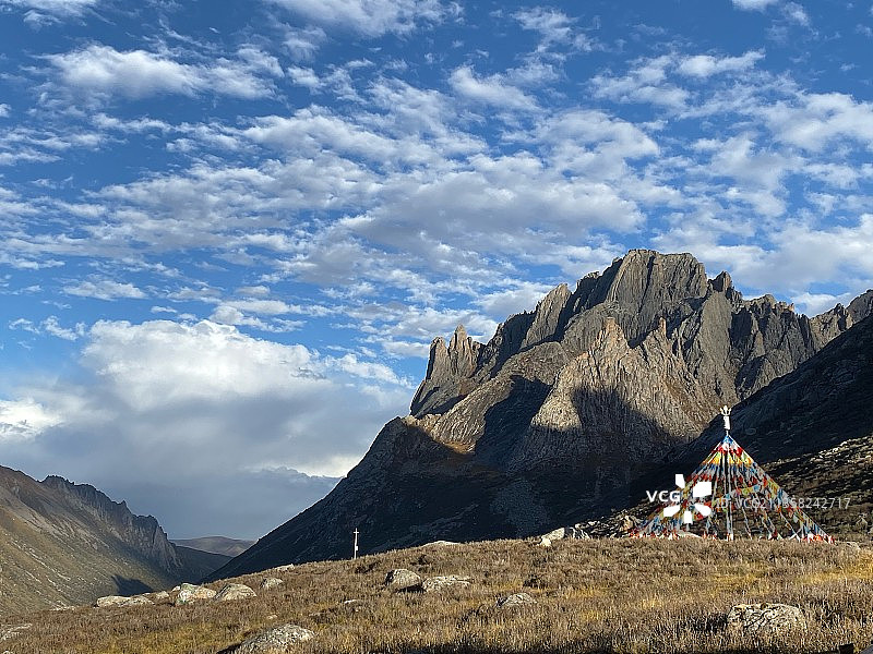 莲宝叶则图片素材