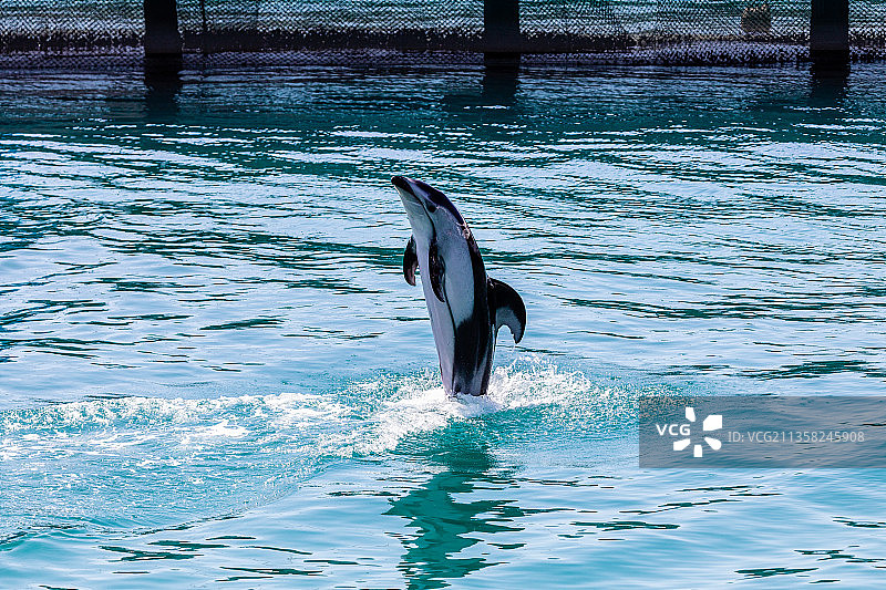 越南芽庄珍珠岛图片素材