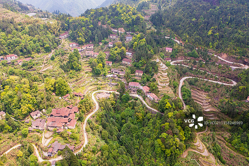 百山祖国家公园浙江省丽水市景宁畲族自治县英川镇风光图片素材