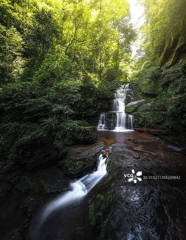 贵州省赤水市桫椤保护区瀑布图片素材