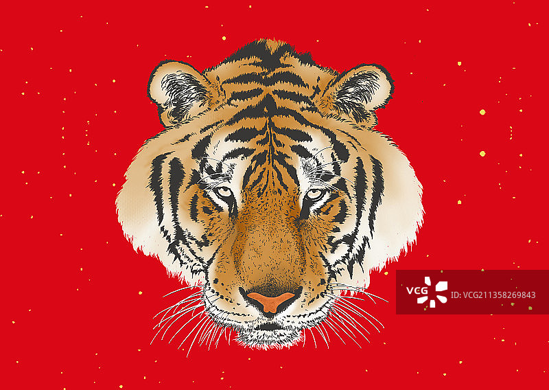 写实虎头插画图片素材
