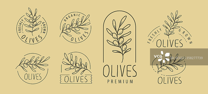 橄榄标签与橄榄枝徽章图片素材