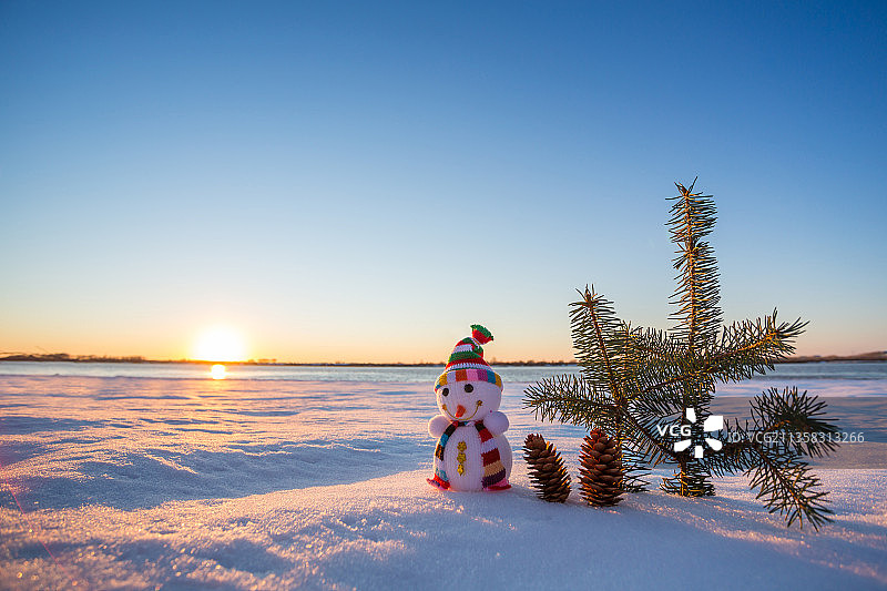 冬天 雪地 雪人 松树 松果，节日图片素材