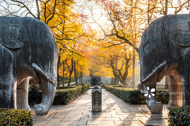 秋日石像路图片素材