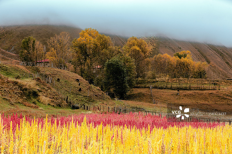 多彩新都桥图片素材