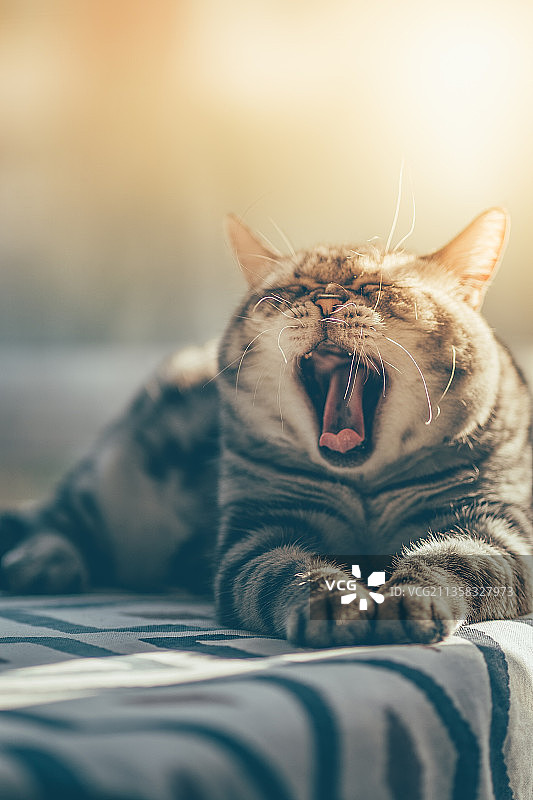 午休时刻图片素材