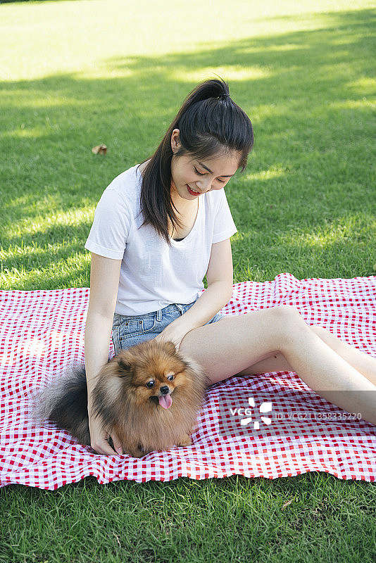 女主人和波美拉尼亚斯皮兹狗一起在公园玩。图片素材