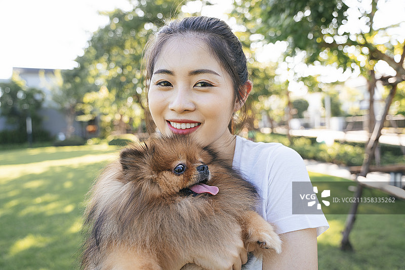 美丽的亚洲主人和波美拉尼亚斯皮兹狗的特写。图片素材