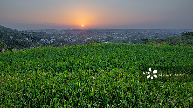 夏季乡村田野黄昏日落图片素材
