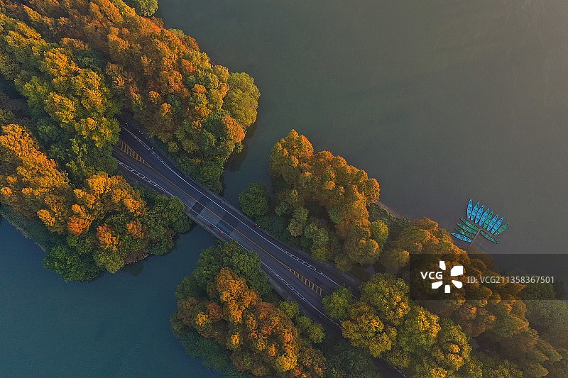 秋日杨公堤图片素材