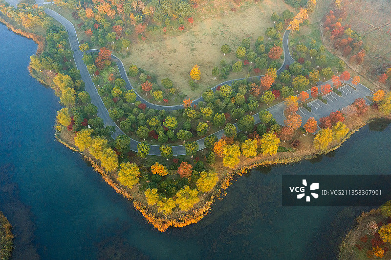 张家港香山湖清晨日出岛屿秋色蓝天绿水黄色的树林图片素材